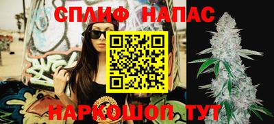МДПВ Краснознаменск