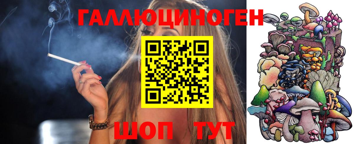 Гудермес  Галлюциногенные грибы MAGIC MUSHROOMS  Вход с VPN 