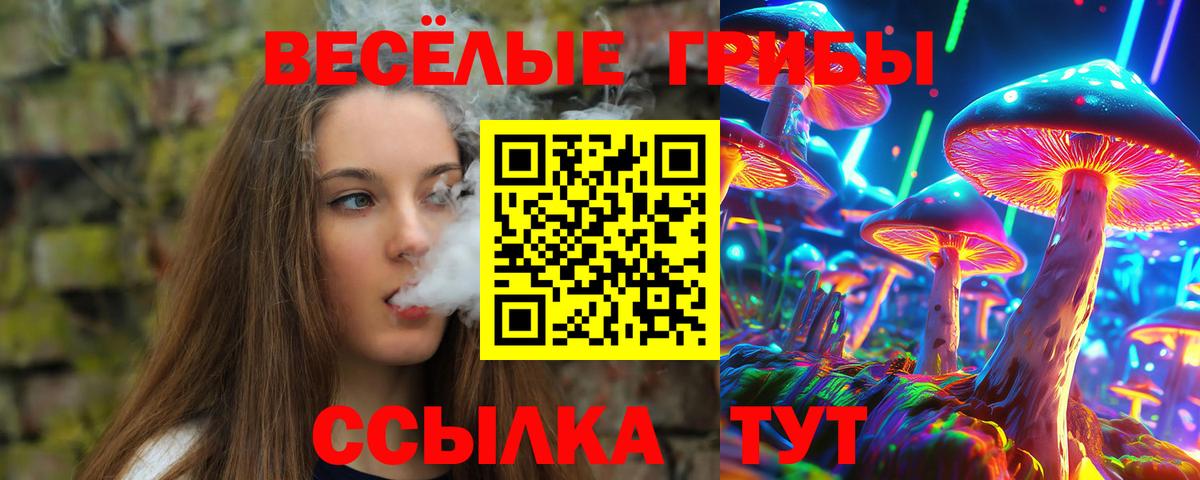 Галлюциногенные грибы мицелий Гудермес